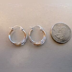 Gold and Silver Toned Mixed Metal Hoop Earrings